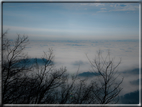 foto Colline Marosticane nella Nebbia